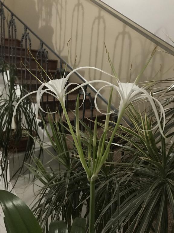 Hotel Civico7 Villa San Giovanni Zewnętrze zdjęcie